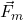 \vec{F}_m