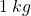 1\:kg